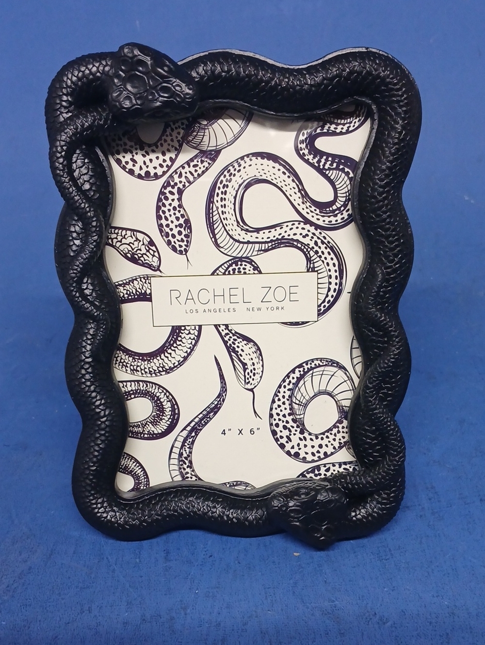 Rachel Zoe Black Snake Motif Gothic Halloween Picture Frame Suits 4" x6" Photo